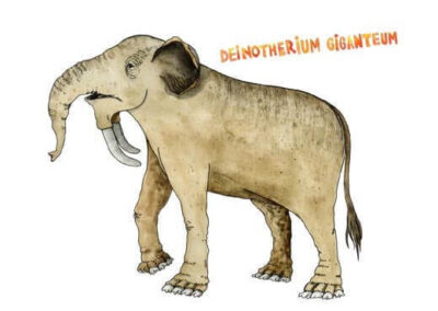 Illustration depicting a Deinotherium Giganteum