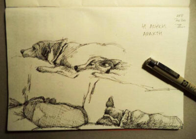 Sketchbook illustration of a dog in several poses on the couch